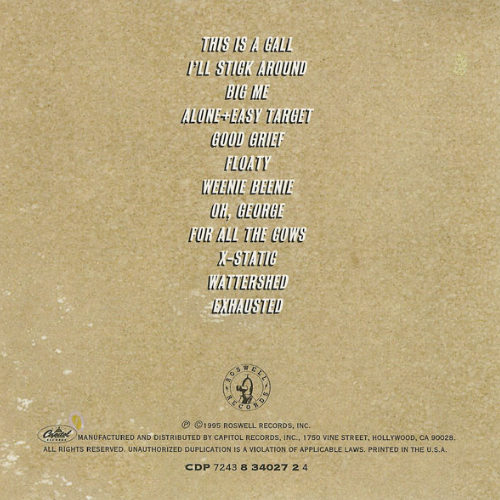 Foo Fighters – Foo Fighters