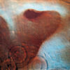 Vinile Meddle - Pink Floyd